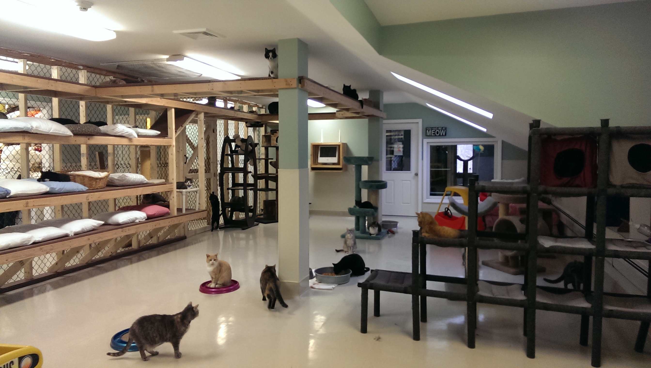 Mid Hudson Animal Aid