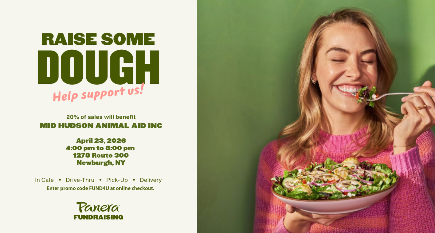 Facebook Event Post (salad)