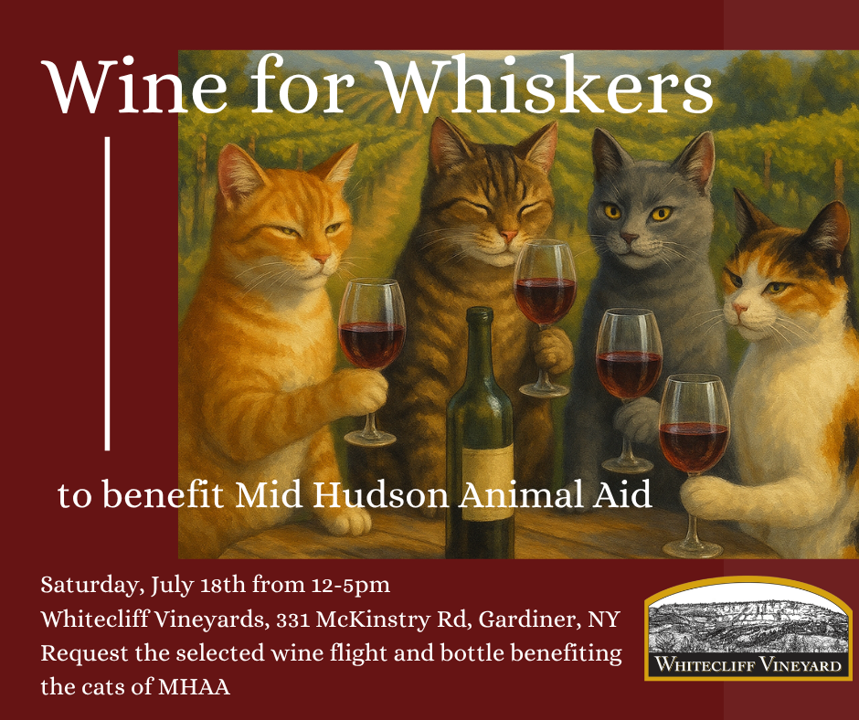 Wine for whiskers 2026