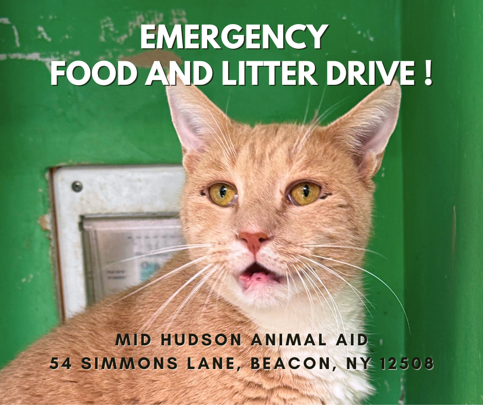 EMERGENCYfood